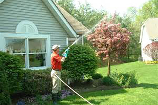 Residential Maintenance